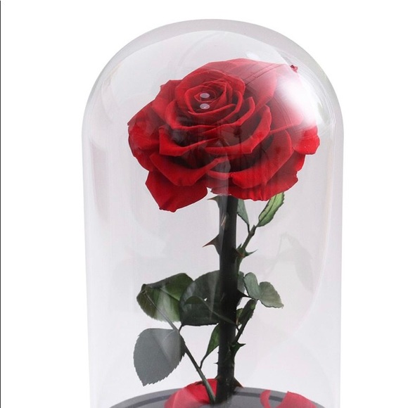 Meet your Posher, Antoine - Picture 1 of 1